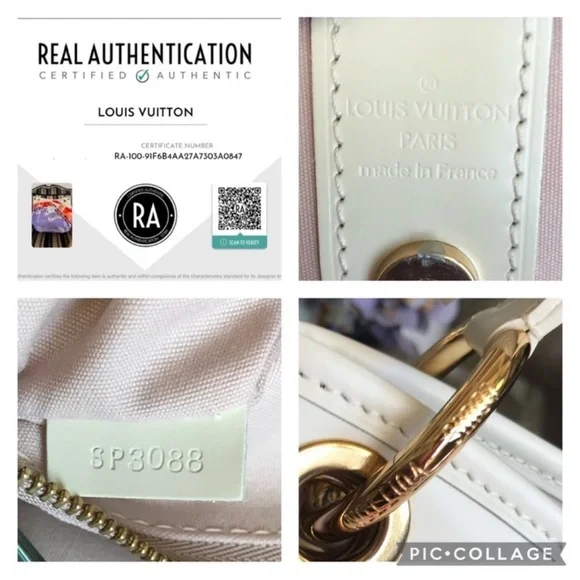 Like New Louis Vuitton LTD Release Galliera GM Caba Cruise Collection - Picture 6 of 16